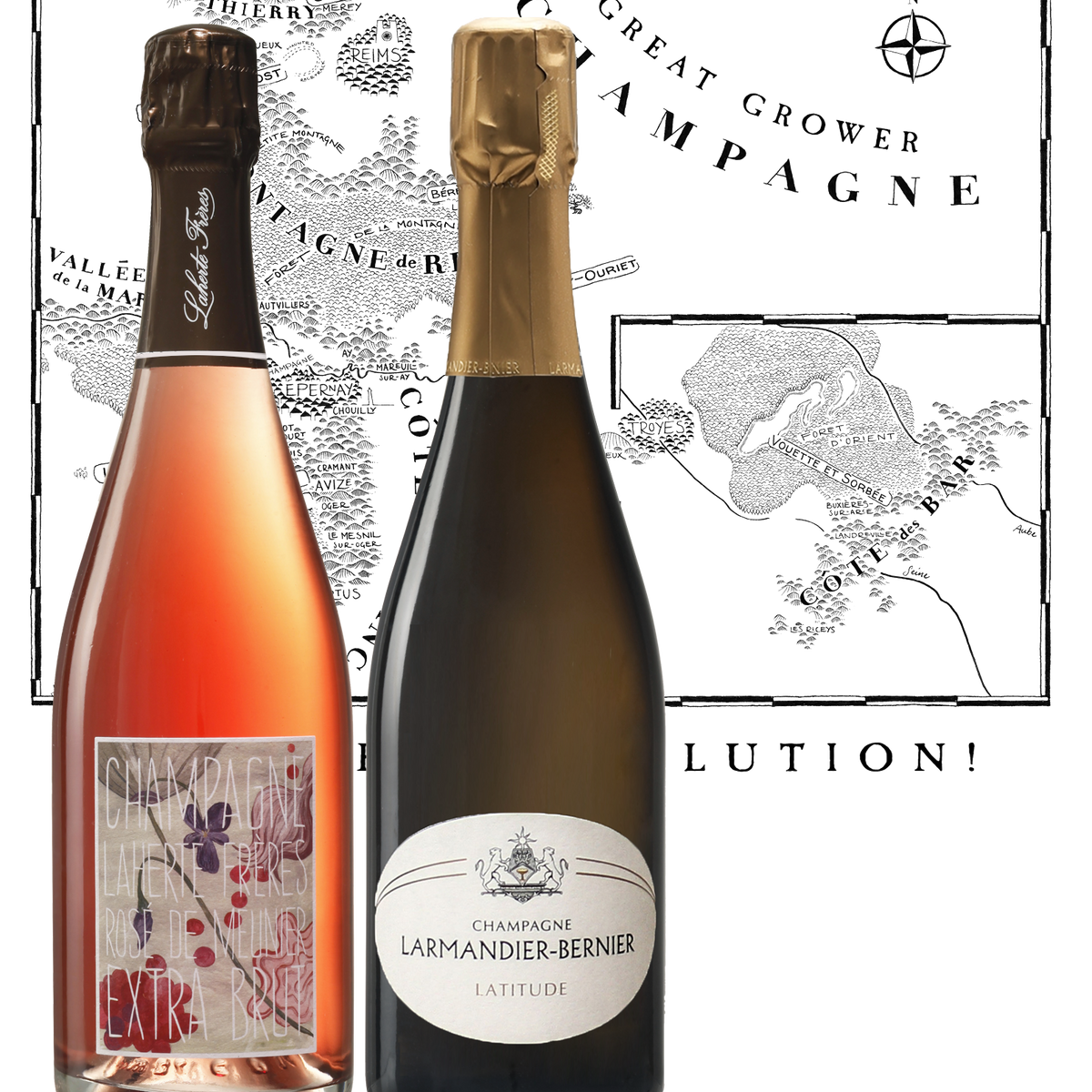 Grower Champagne Discovery Pack International Fine Wines