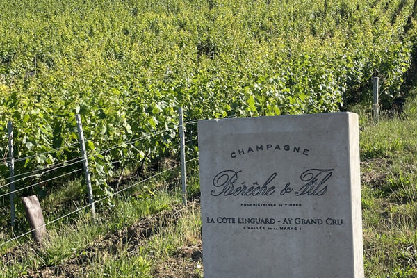 Champagne Bérêche et Fils