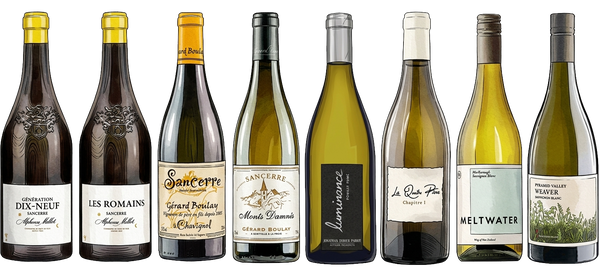 Sauvignon Blanc in Focus