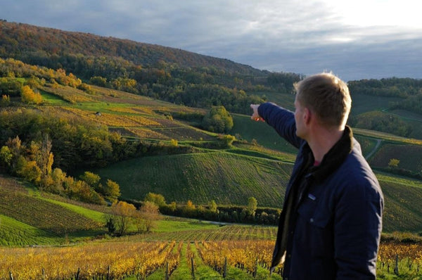 Cellier Saint Benoit