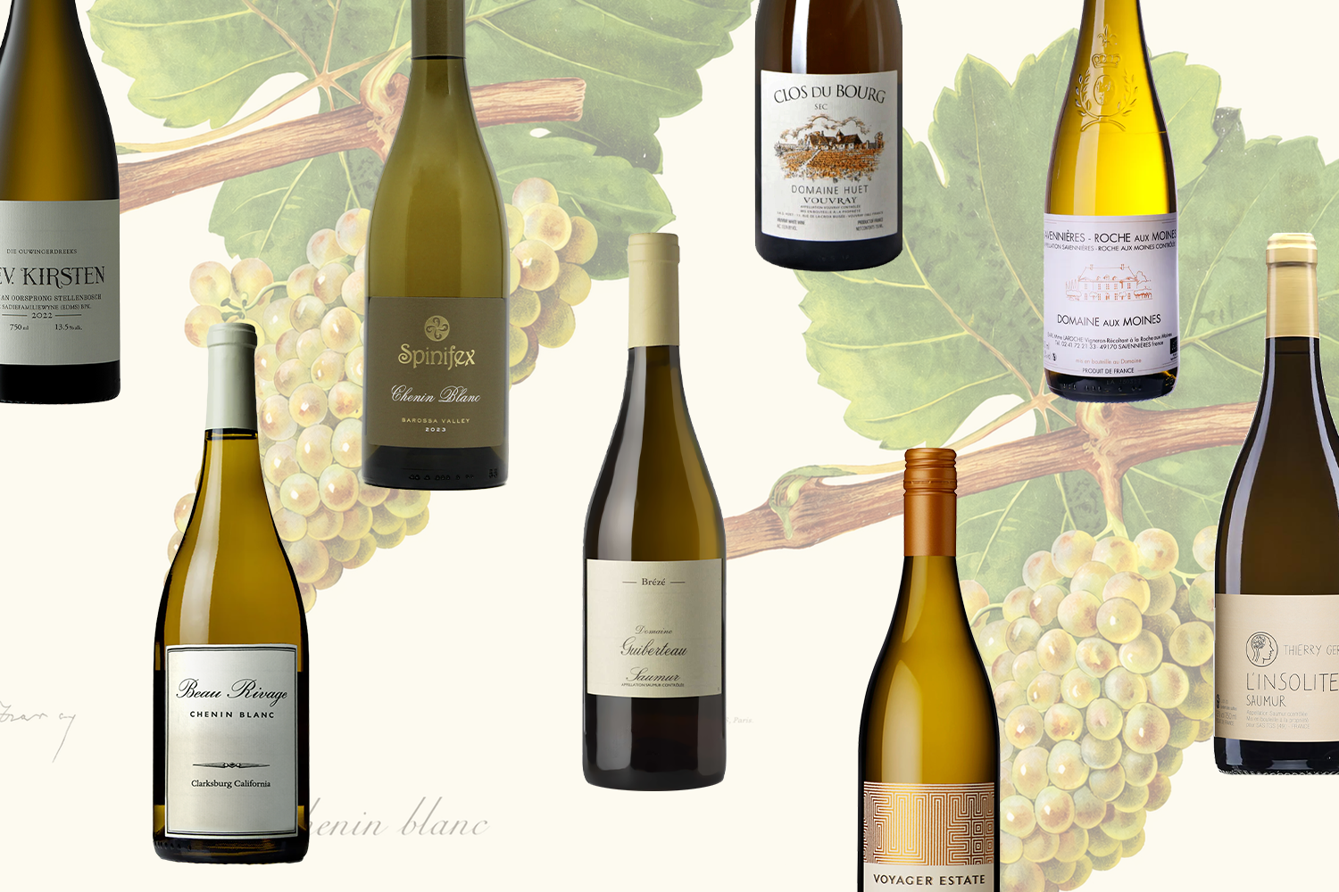 Chenin Blanc in Focus