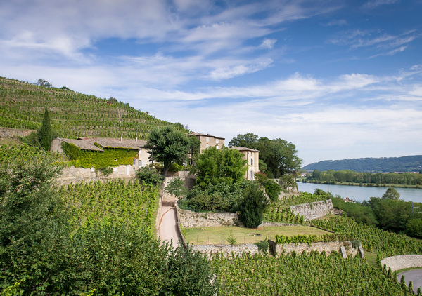 Rhone, in Focus