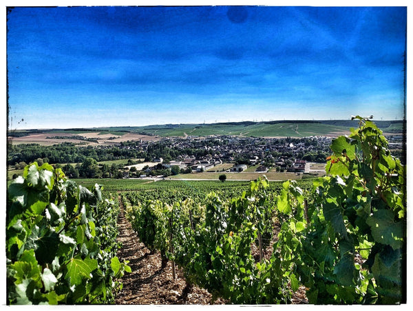 Domaine Gueguen