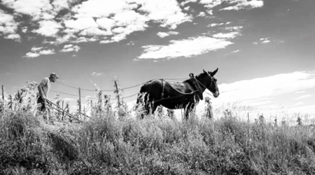 Domaine de l'Iserand