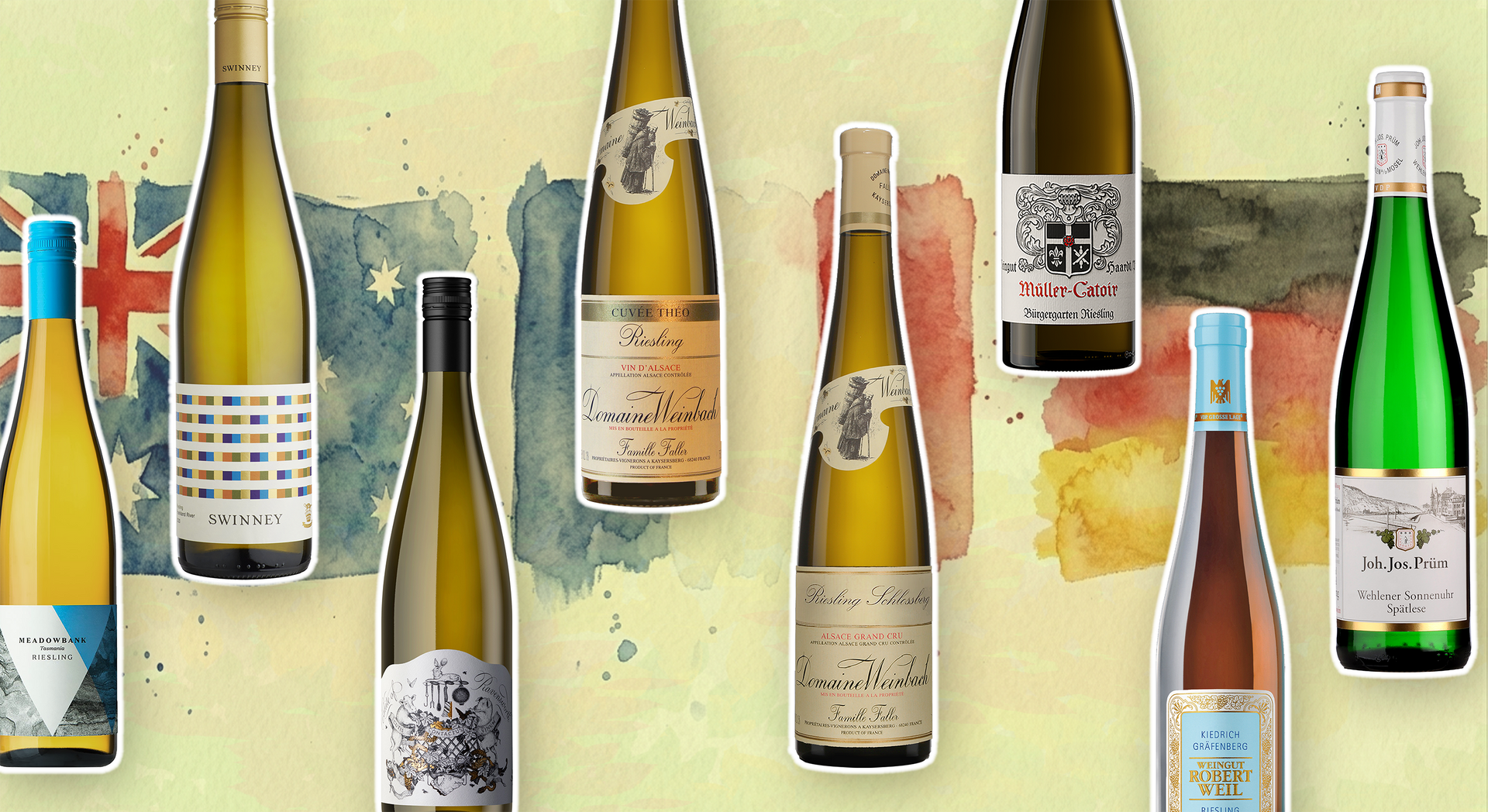Riesling, in Focus