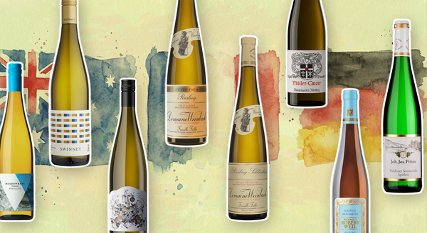 Riesling, in Focus