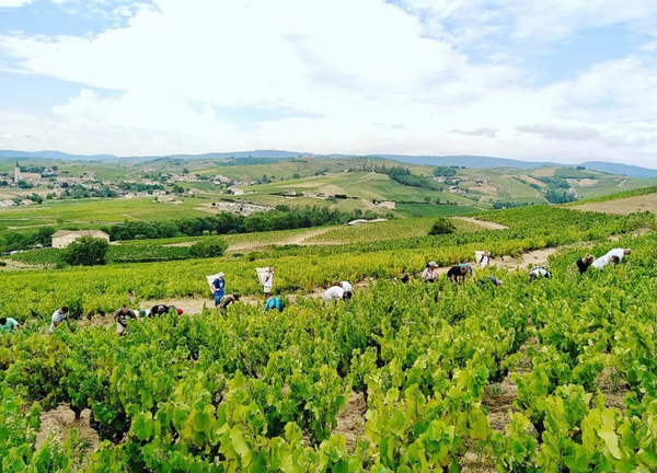 Domaine Chermette