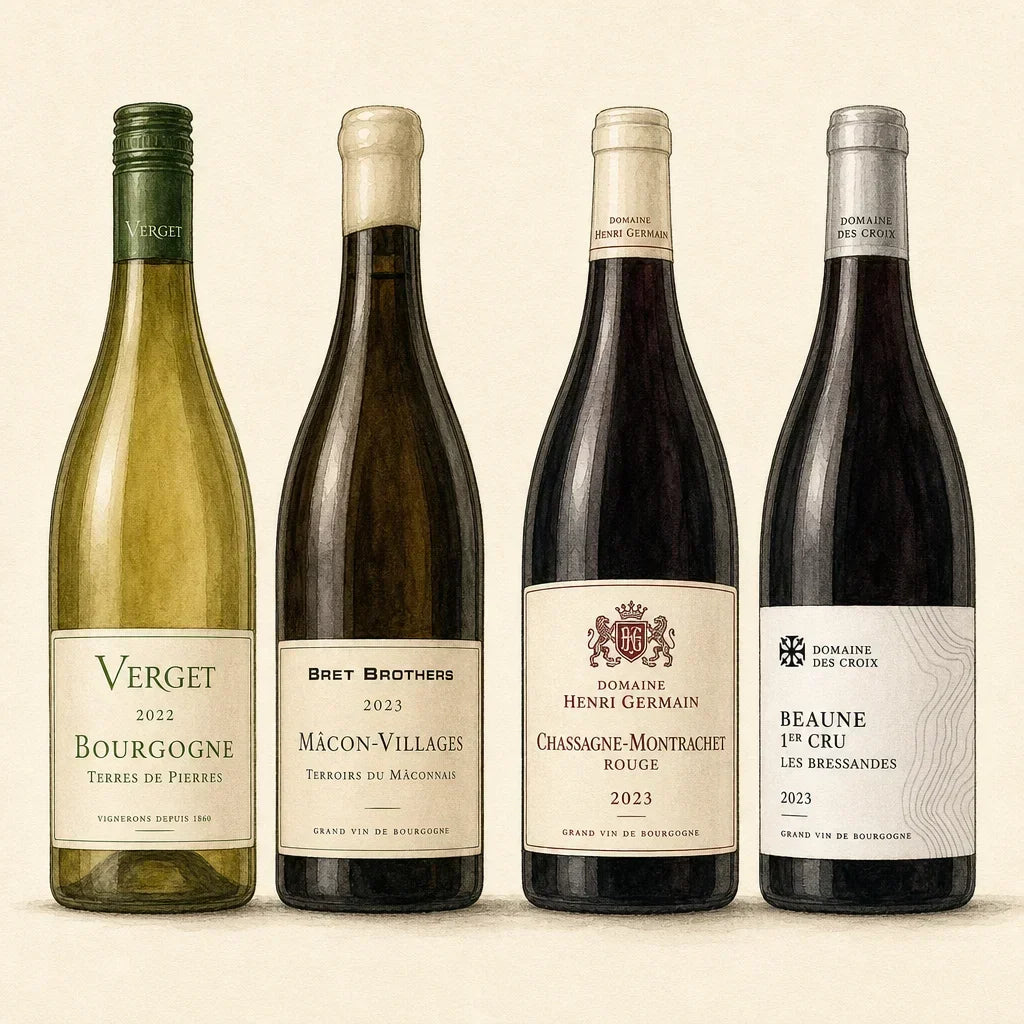 Burgundy, in Focus