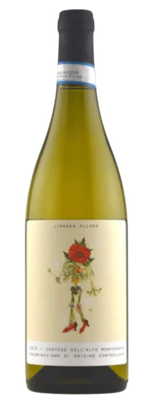 Linnaea Allora Cortese Dell'Alto Monferrato DOC 2023