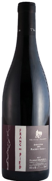 Roches Neuves Saumur-Champigny Franc de Pied 2023