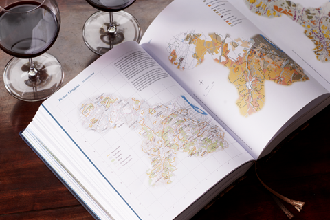 Inside Bordeaux First Edition by Jane Anson