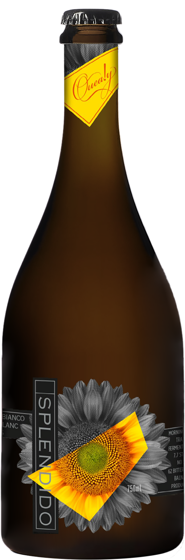 Quealy Splendido 2024