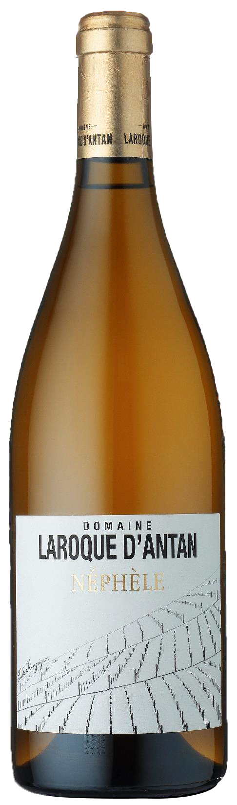 Domaine Laroque D'Antan IGP Côtes du Lot Néphèle Blanc 2017