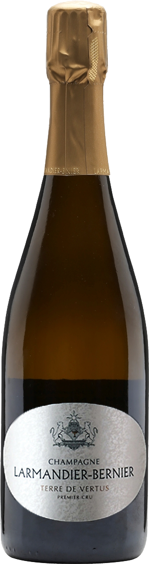 Champagne Larmandier-Bernier 1er Cru Terre de Vertus Blanc de Blancs 2015 (Disg. Dec 2021)