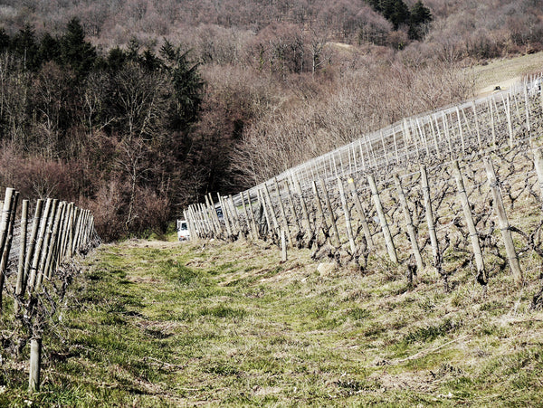 Domaine De Fa Fleurie Roche Guillon 2018